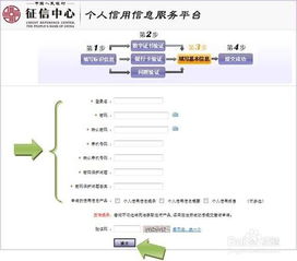 互聯(lián)網(wǎng)時代的個人信用信息查詢與信息咨詢服務